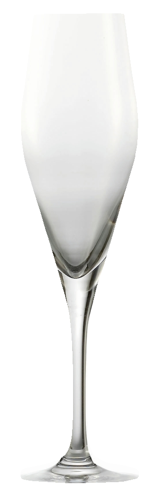 Schott Zwiesel Champagnerglas Audience 250 ml